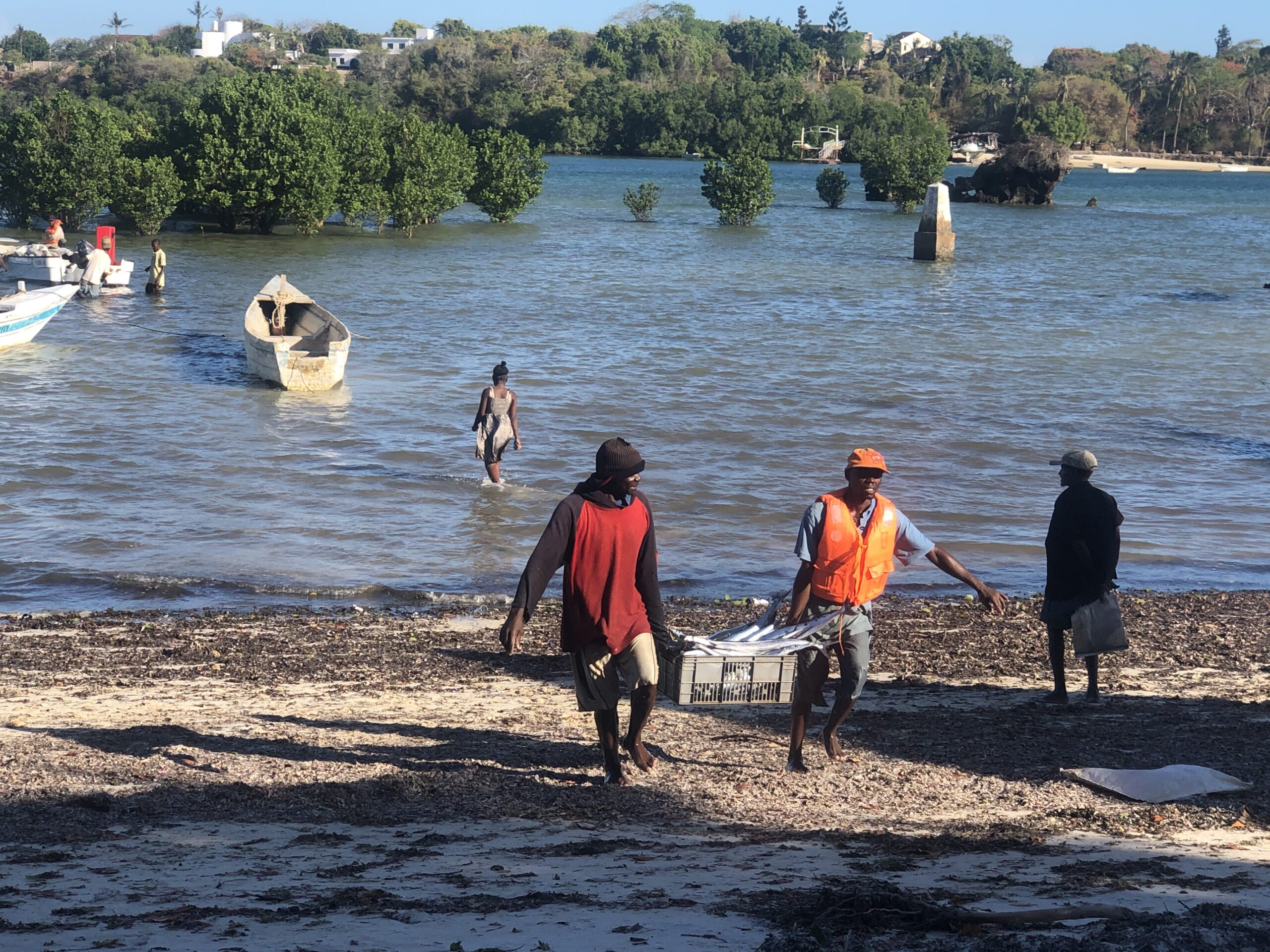 Kenya – Go Blue: Italia e Ue al fianco del Kenya per lo sviluppo delle aree costiere e della blue economy Kenya – Go Blue: Italia e Ue al fianco del Kenya per lo sviluppo delle aree costiere e della blue economy