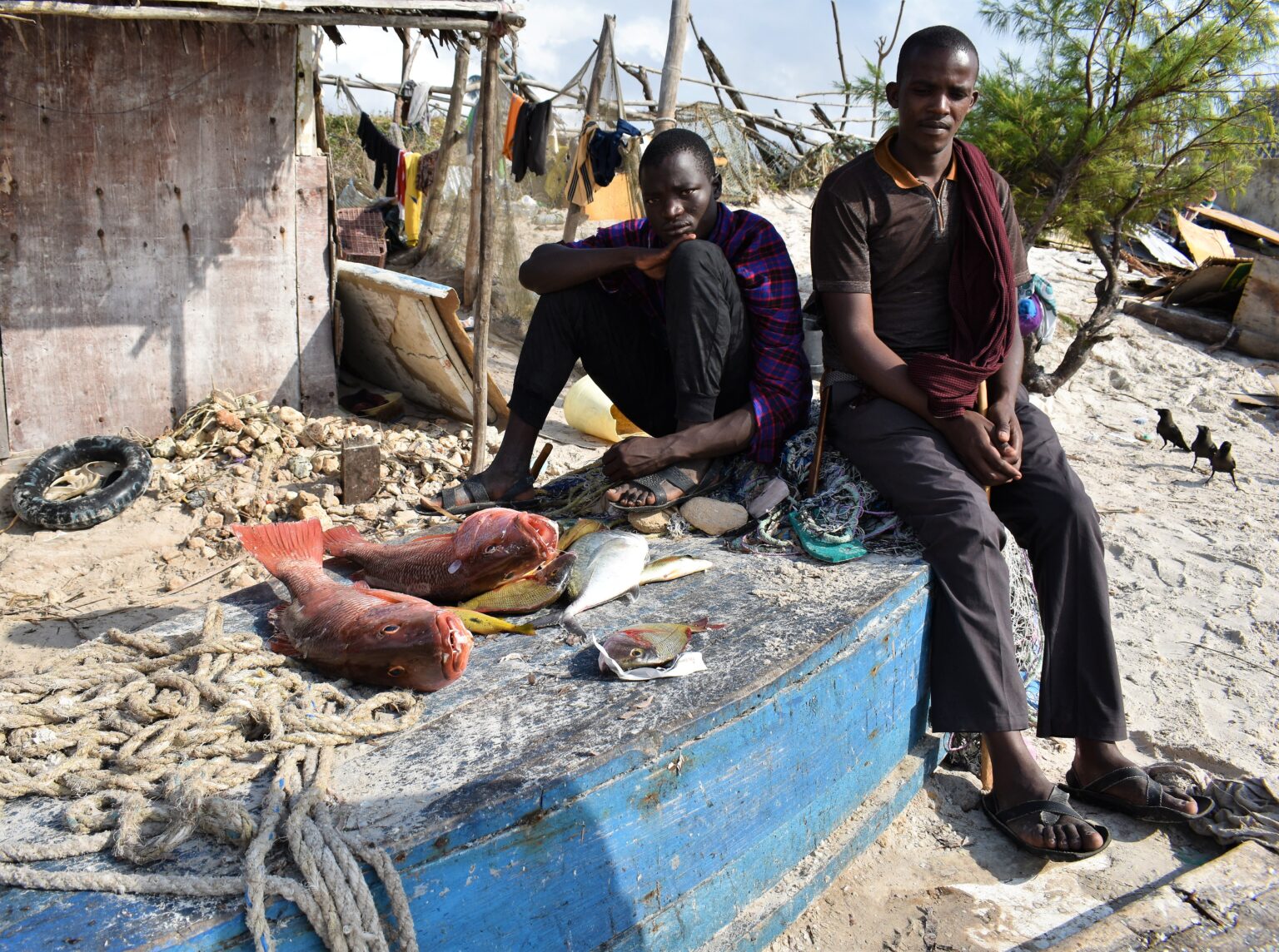 Kenya – Imprenditorialità e standard qualitativi per potenziare la filiera della pesca in Kenya, al via i training di “Go Blue” Kenya – Imprenditorialità e standard qualitativi per potenziare la filiera della pesca in Kenya, al via i training di “Go Blue”