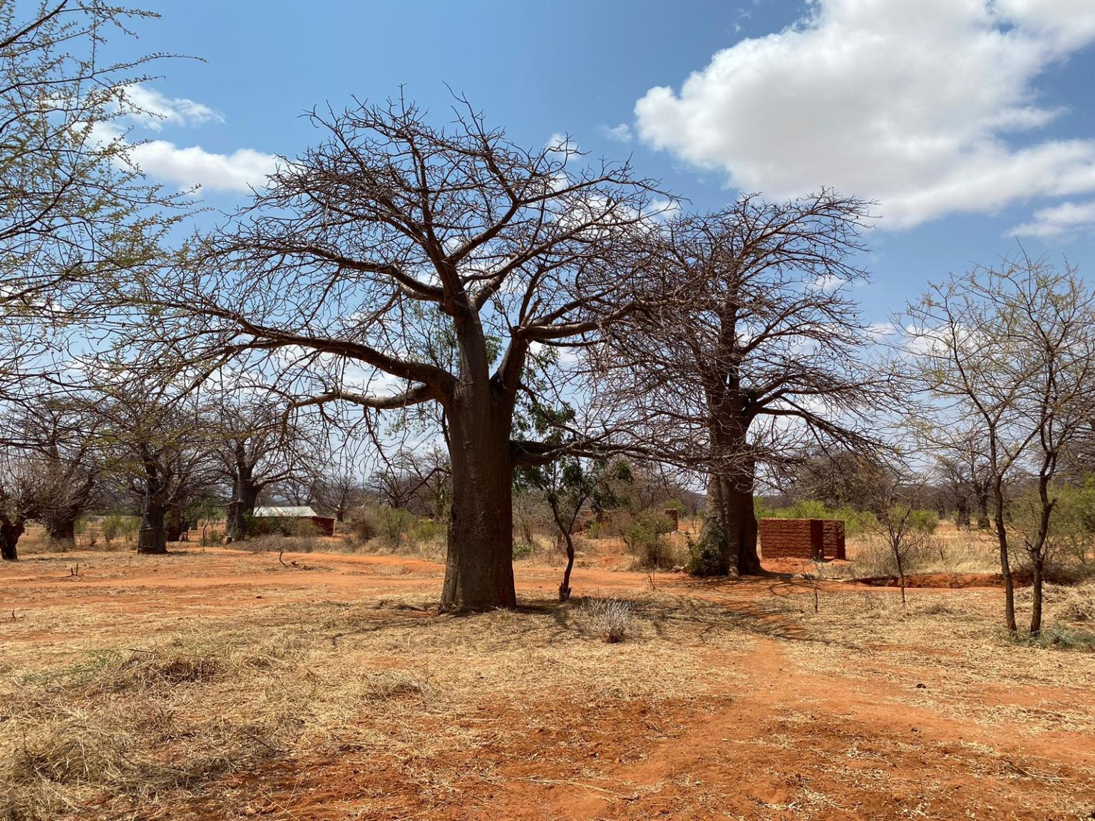 AICS in Tanzania: un’intervista all’ufficio VII dopo la missione di monitoraggio nel Paese AICS in Tanzania: un’intervista all’ufficio VII dopo la missione di monitoraggio nel Paese
