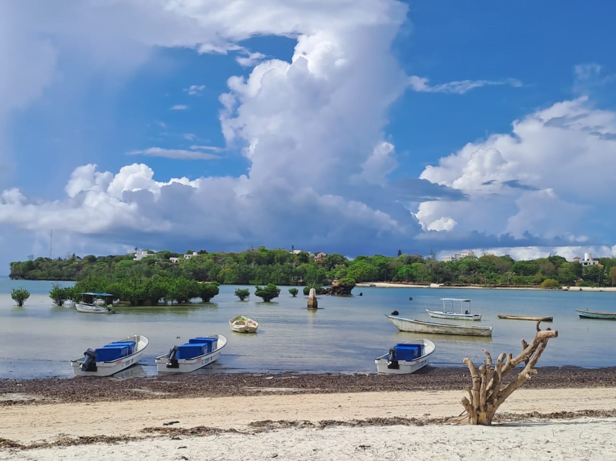 Delegated Cooperation